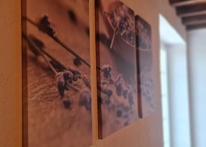 Les Cotes - Charming With Heated Swimming Pool